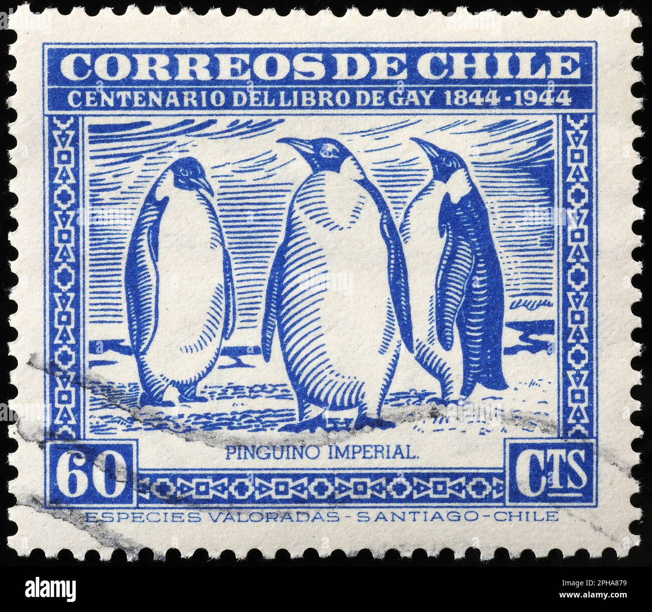 Three imperial penguins on vintage chilean stamp Stock Photo - Alamy