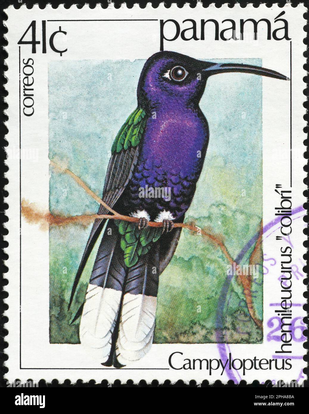 Violet sabrewing on postage stamp from Panama Stock Photo