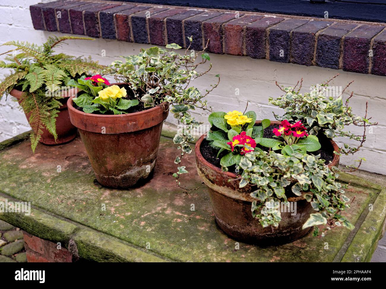 Rustic garden pot in rural village - garden ideas and small garden design Stock Photo