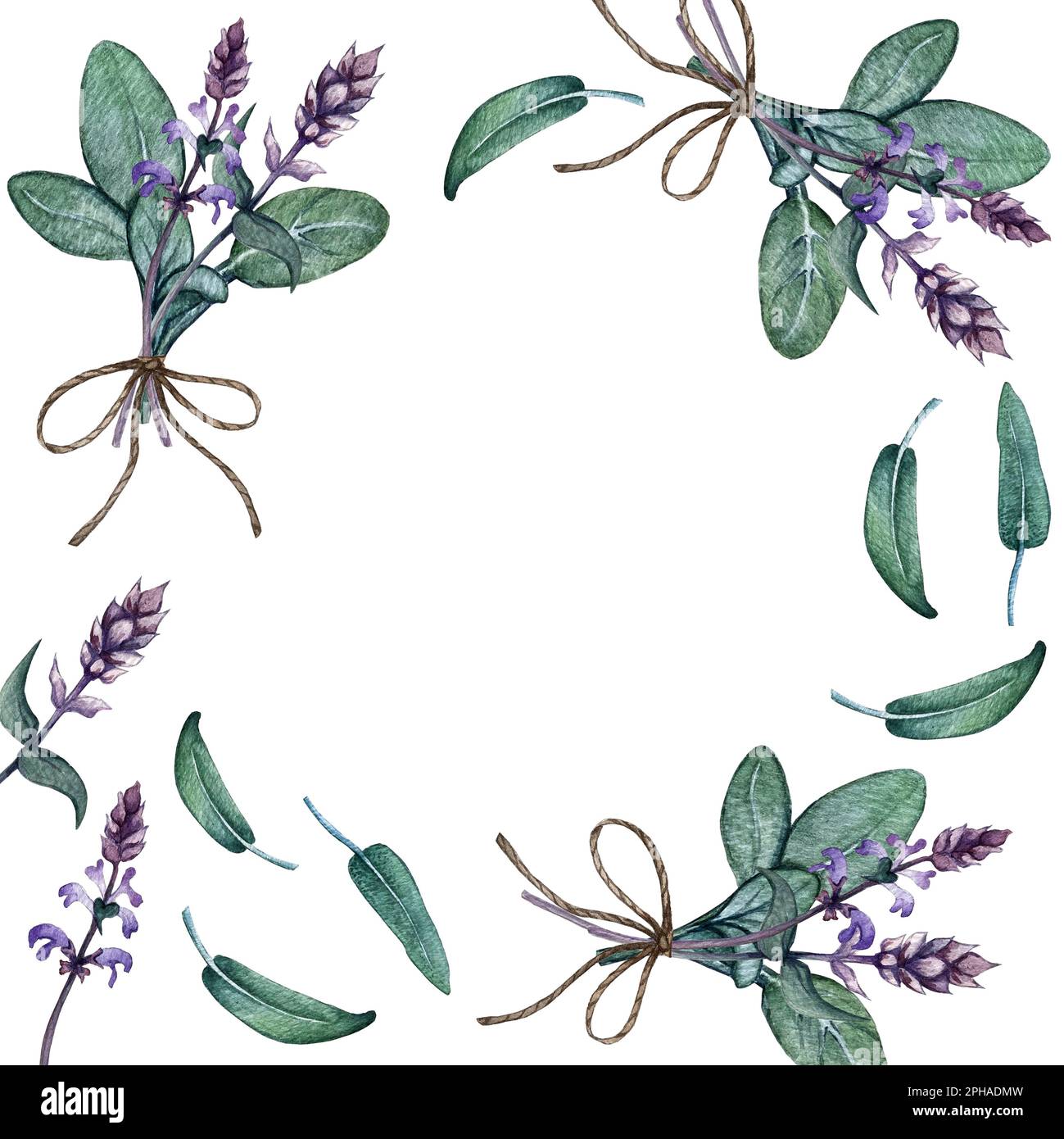 eco frame of sage leaves and sage flowers Stock Photo Alamy