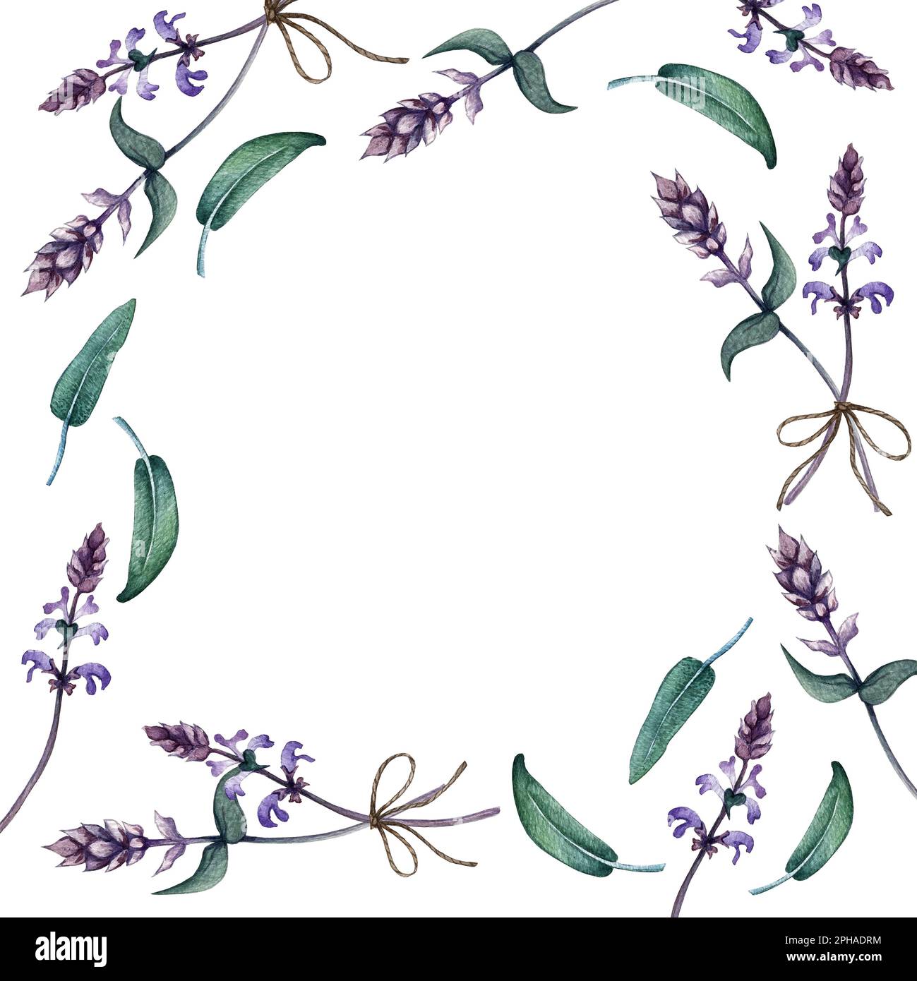 eco frame of sage leaves and sage flowers Stock Photo Alamy