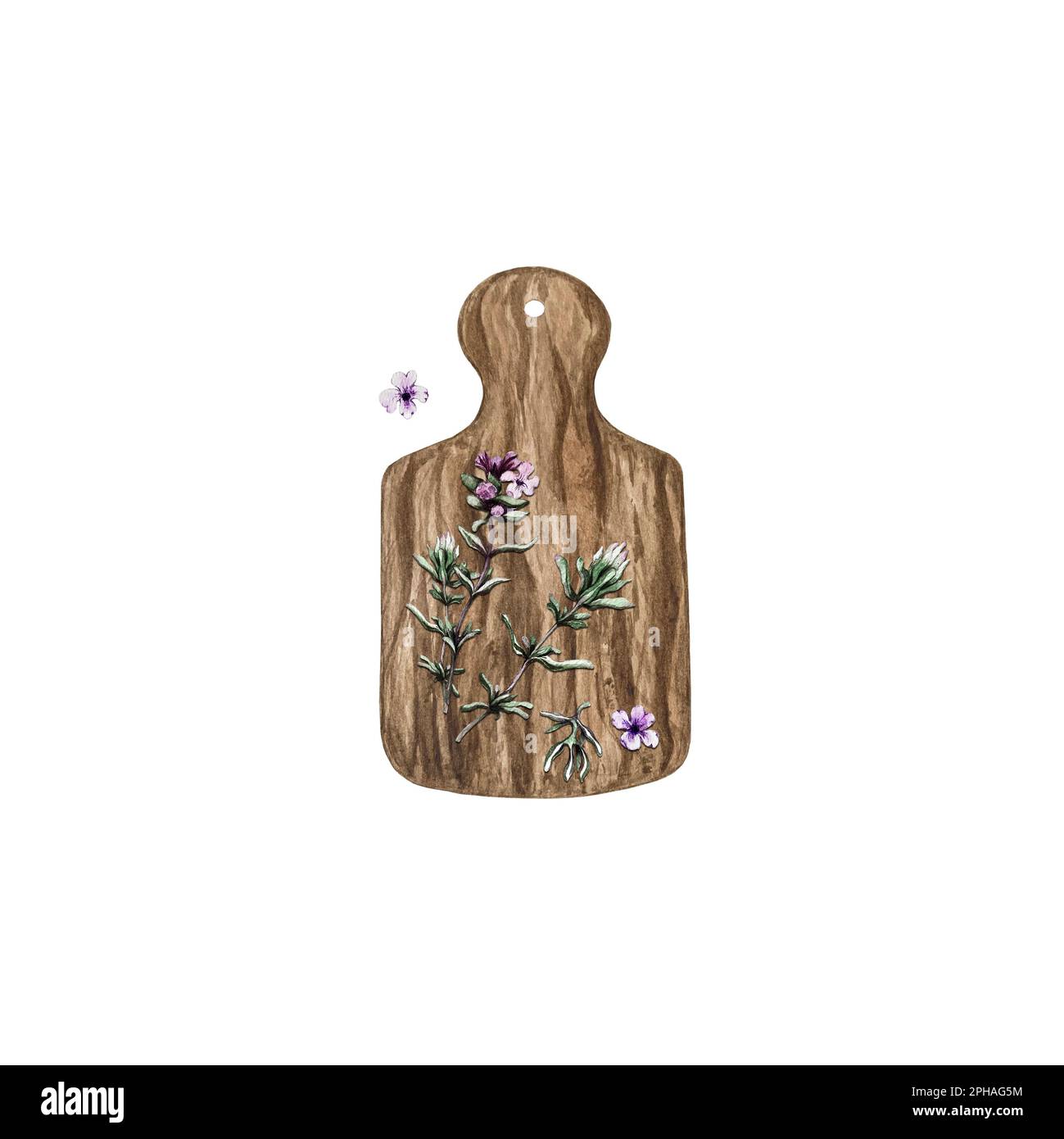 composition of thyme and cutting board Stock Photo Alamy