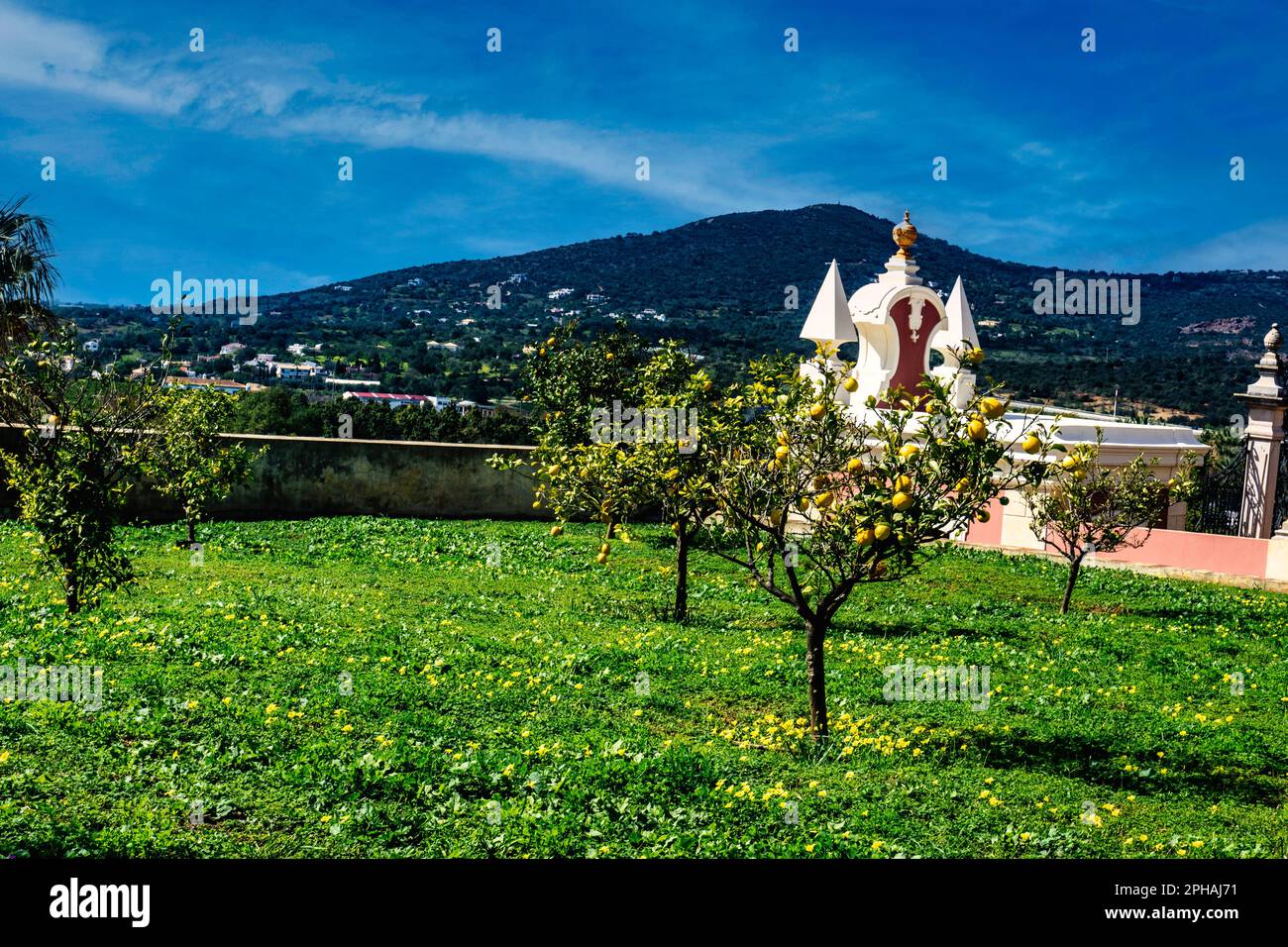A small lemon grove in the grounds of the Estoi Palace Hotel in Portugal Stock Photo