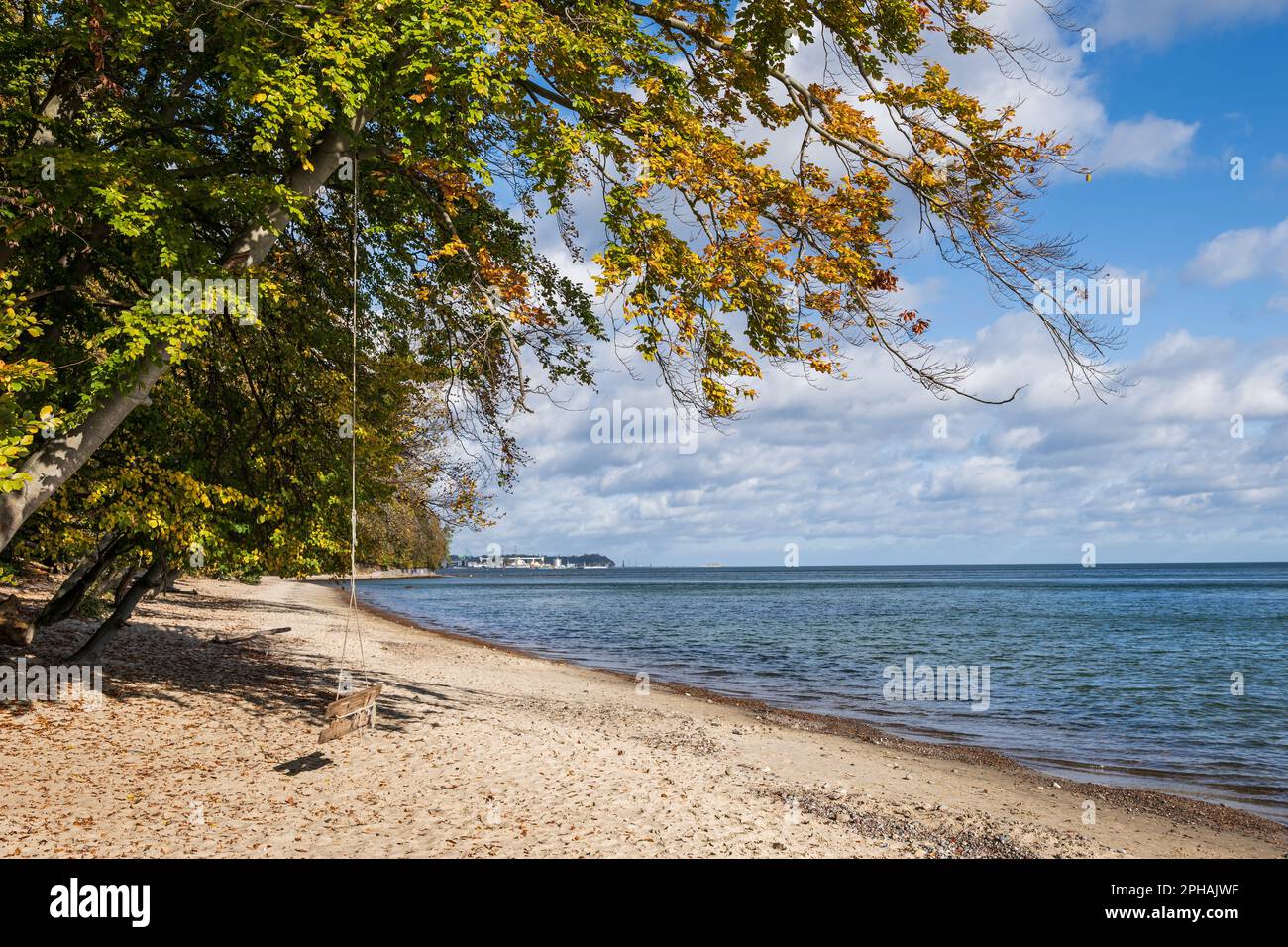 Swing on a tree leaning over sandy beach at the Baltic Sea in Gdynia, Poland. Stock Photo