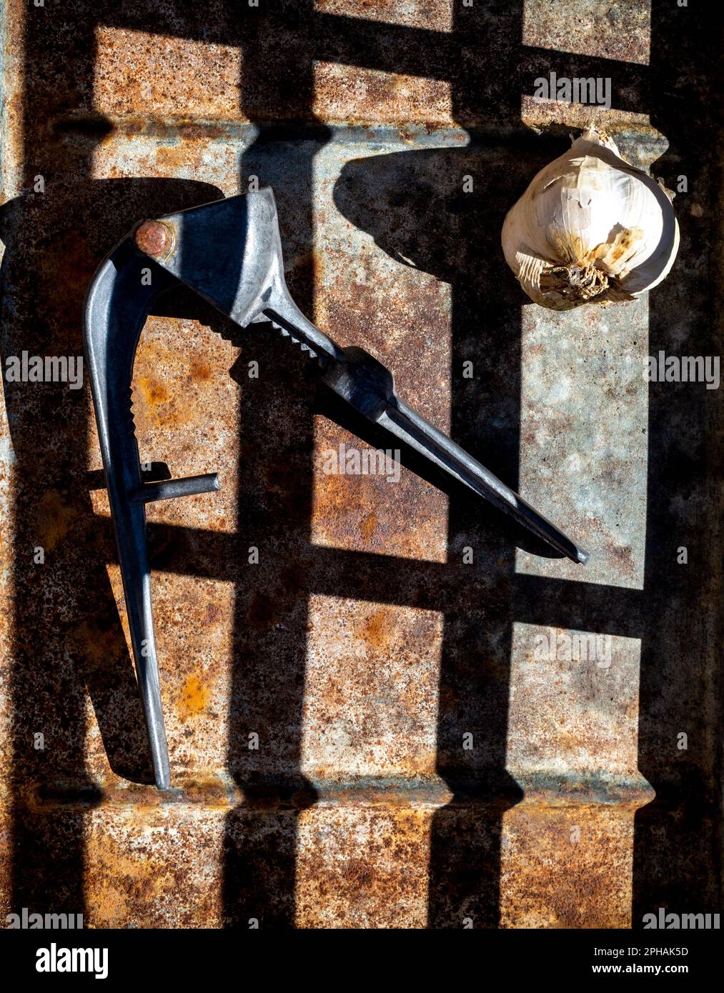 garlic and garlic press on a rustic shadowed background Stock Photo - Alamy