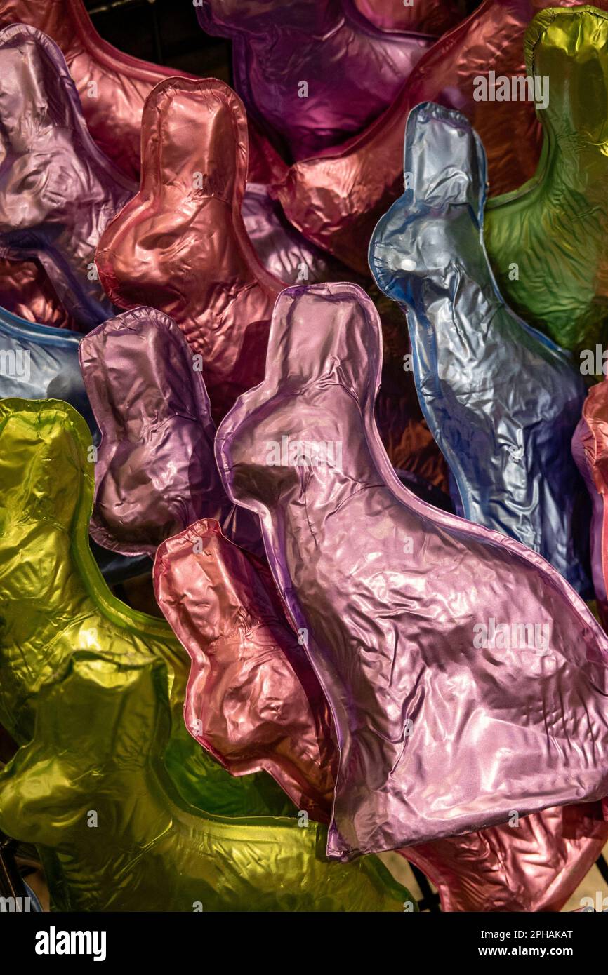 Bunny 2023 hires stock photography and images Alamy