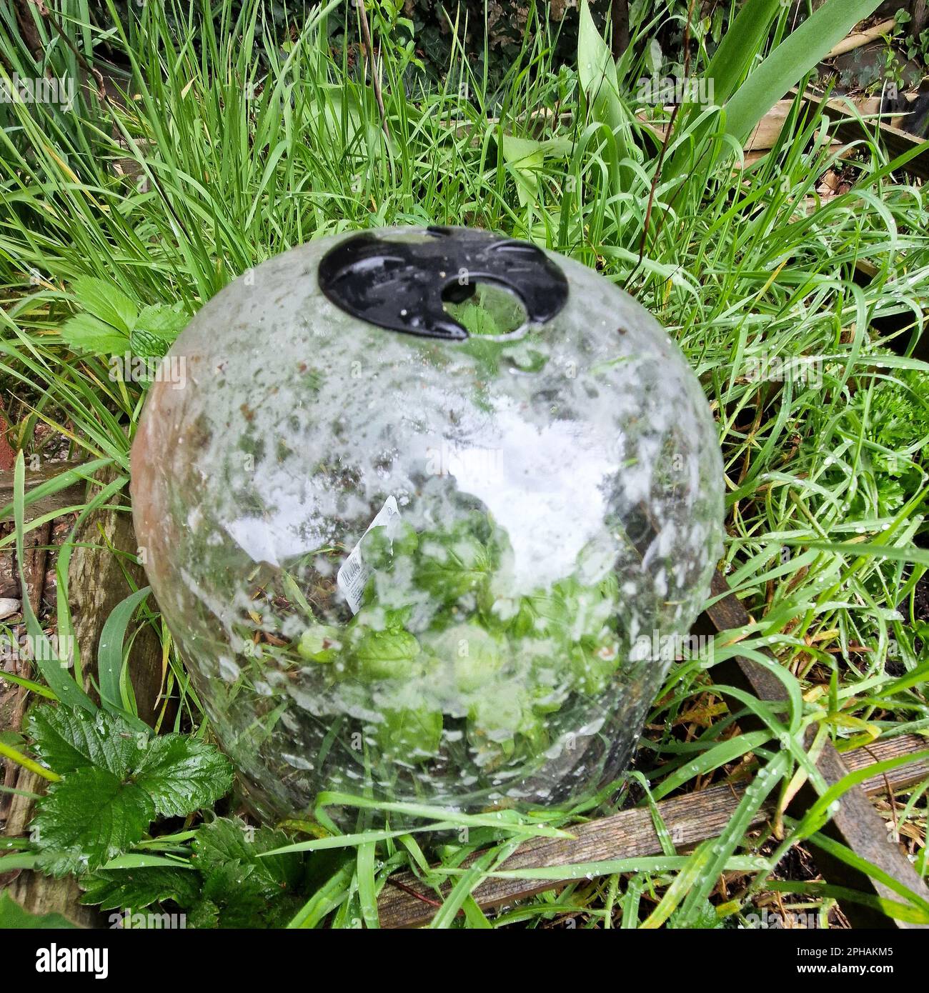 Early spring garden works, Bron, France Stock Photo - Alamy