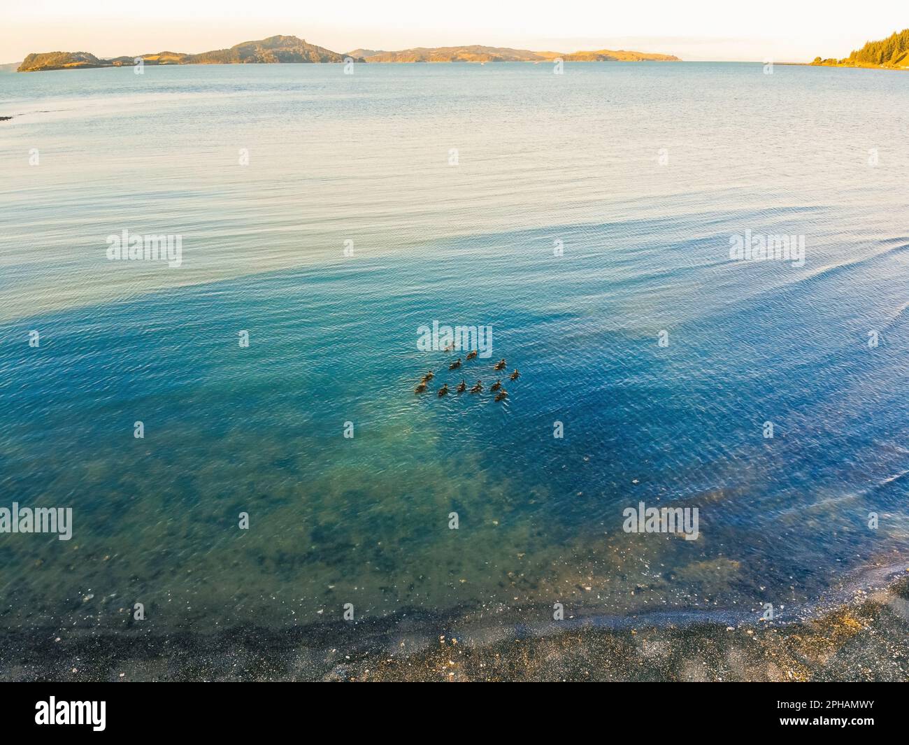 Kawakawa Bay Beach, New Zealand in summer Stock Photo