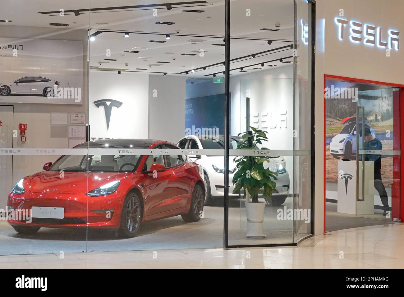 JINAN, CHINA - MARCH 27, 2023 - A Tesla store is seen in Jinan, East  China's Shandong Province, March 27, 2023. According to China Merchants  Bank, which tracks the volume of vehicle