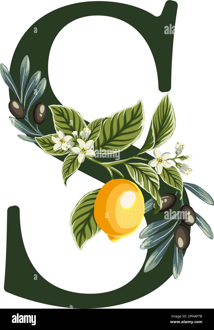 letter S from Alphabet with lemons and olive branches illustration