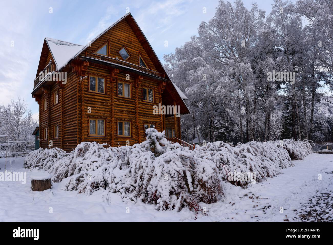 A large wooden cottage in a village near bushes and birches covered ...