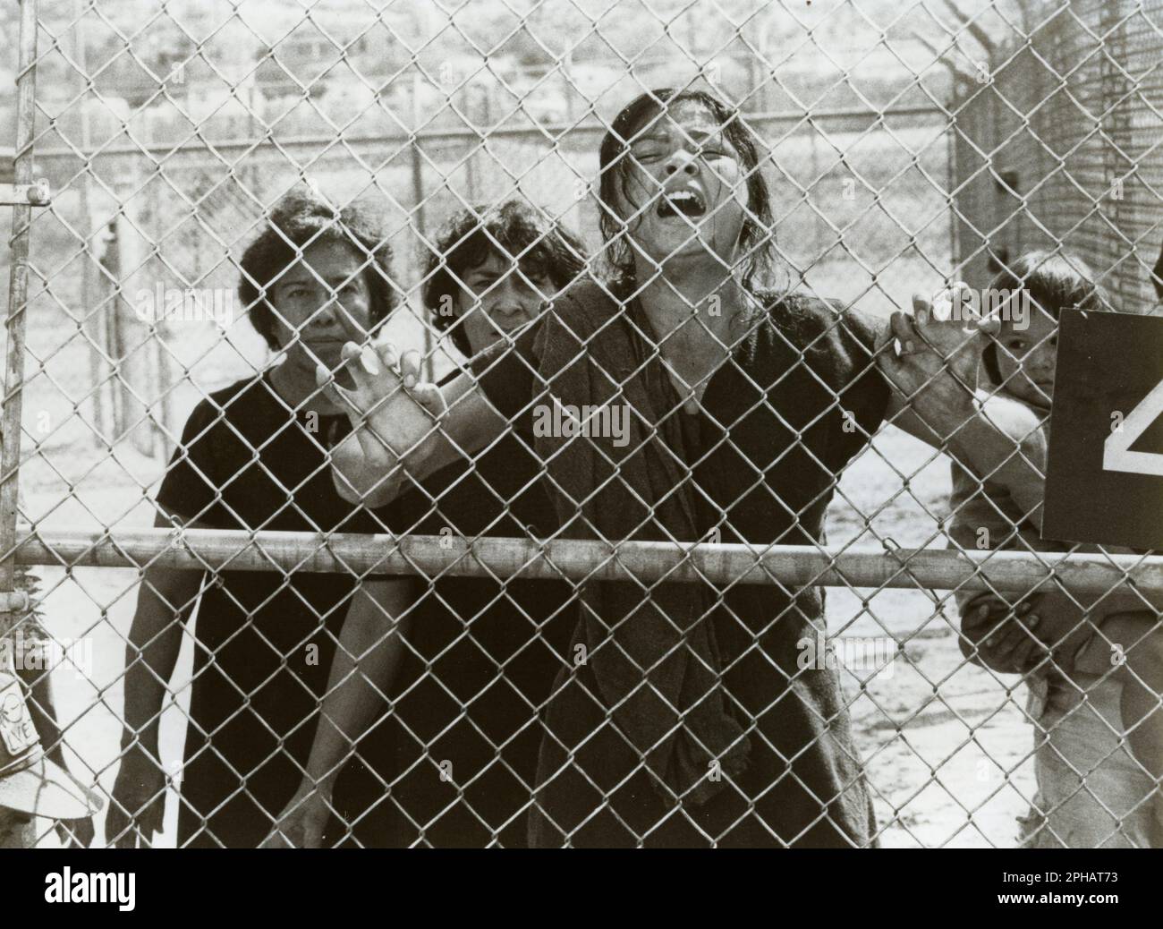Actress Elpidia Carillo in the movie The Border, USA 1982 Stock Photo