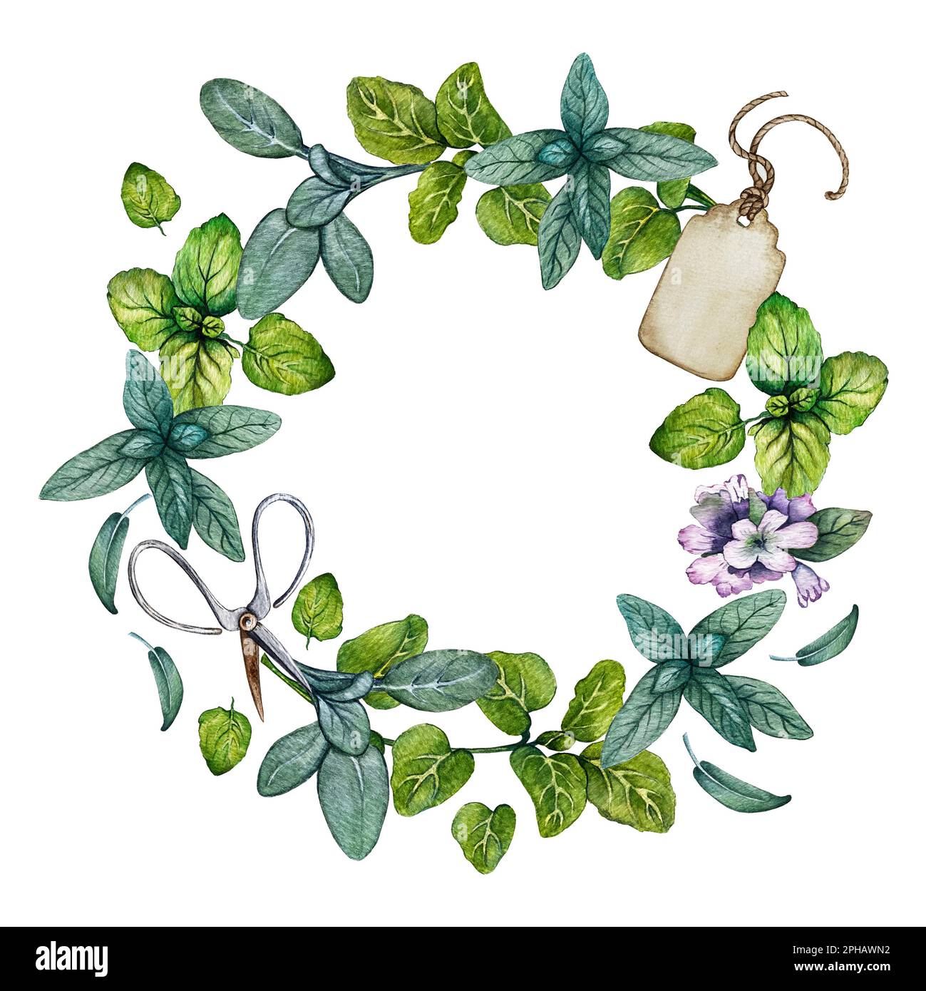 compositions of oregano sage and tag Stock Photo Alamy