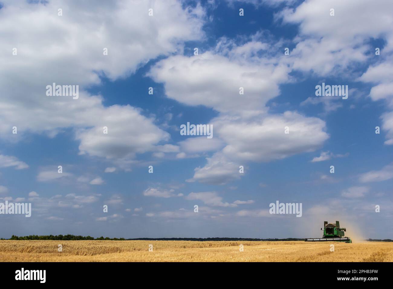 Combine harvester harvests ripe wheat. Ripe ears of gold field on the cloudy sky background. . Concept of a rich harvest. Agriculture image. Stock Photo