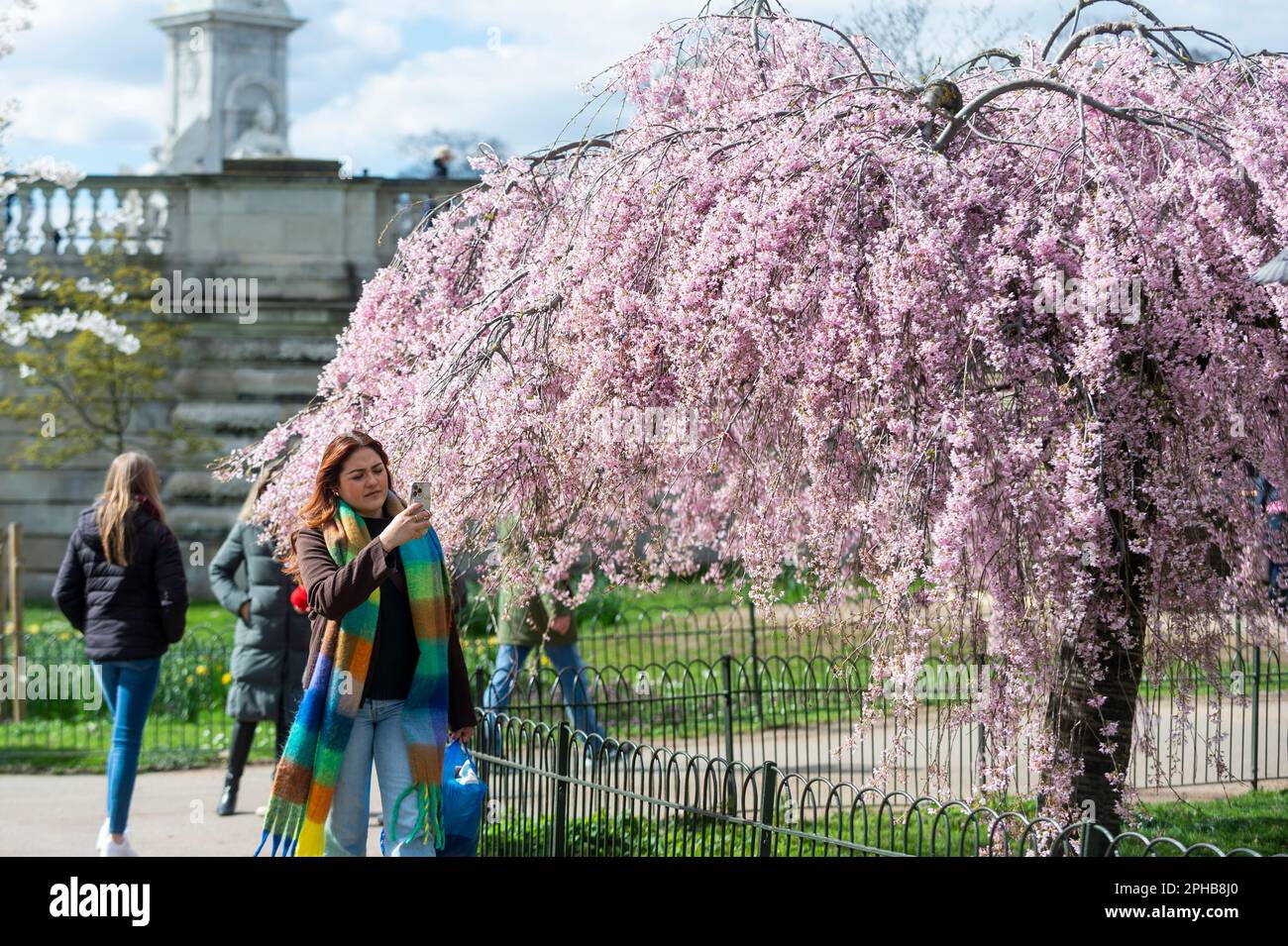 London, UK. 27 March 2023.  People pass blossom flowering in St. James’s Park.  According to the Royal Horticultural Society (RHS), trees will be abundant with blossom this spring because of the perfect conditions last year for bud formation, and also because early flowering has been prevented by the cold this February.  Credit: Stephen Chung / Alamy Live News Stock Photo