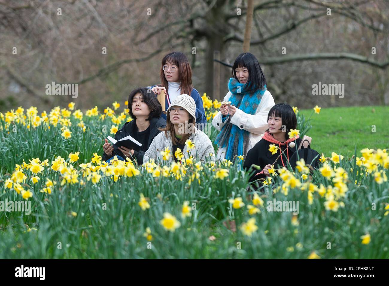 London, UK. 27 March 2023.  Tourists sit amongst the daffodils flowering in St. James’s Park.  According to the Royal Horticultural Society (RHS), trees will be abundant with blossom this spring because of the perfect conditions last year for bud formation, and also because early flowering has been prevented by the cold this February.  Credit: Stephen Chung / Alamy Live News Stock Photo