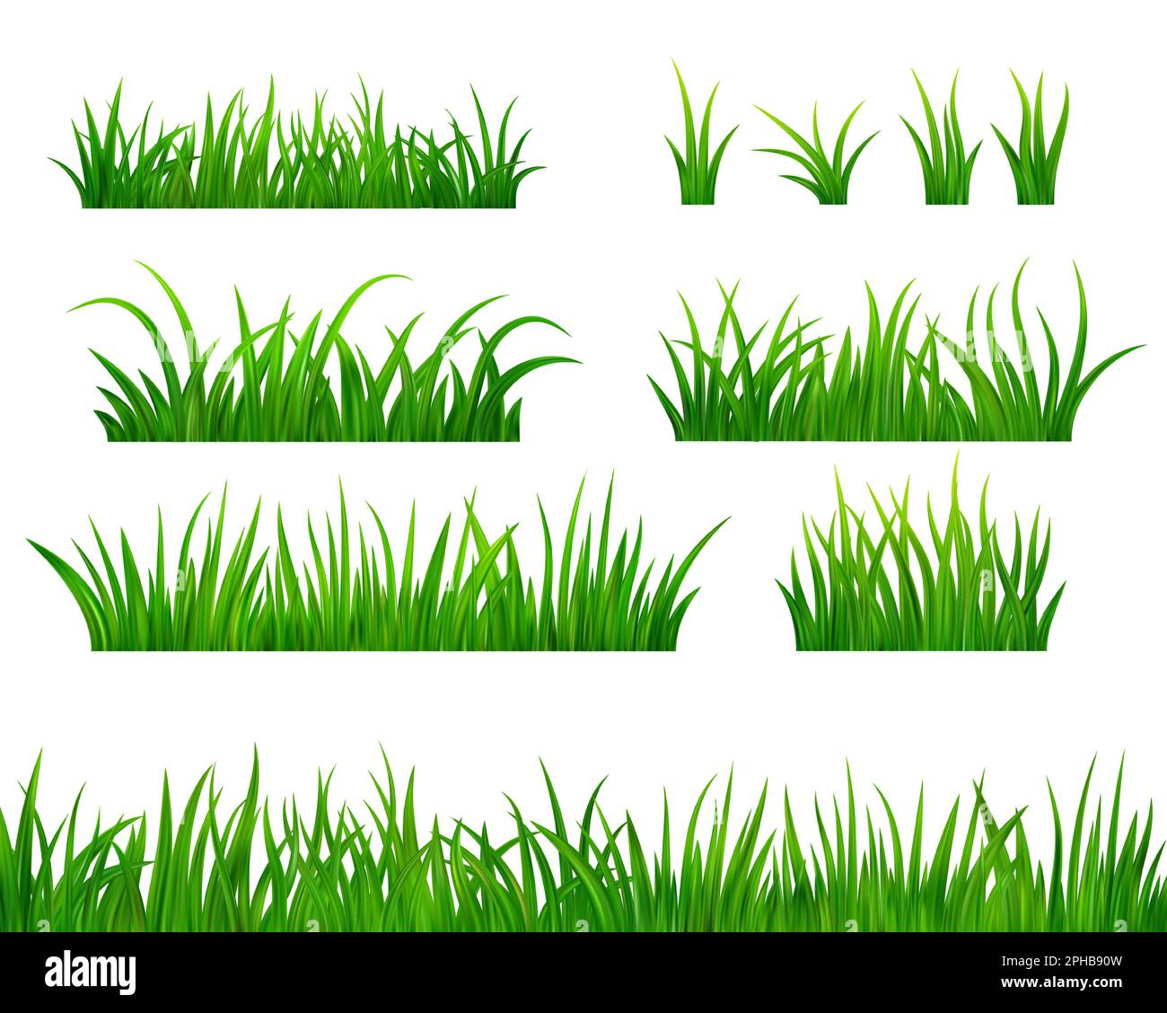 Green grass meadow border Stock Vector