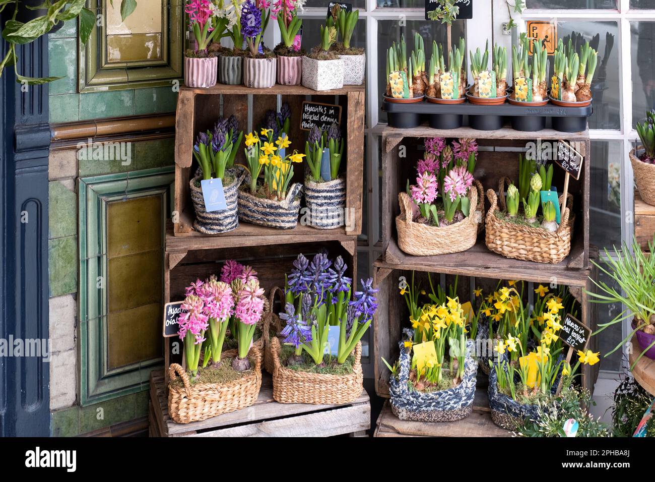 A display of spring bulbs and flowers outside a florist shop in Bristol, UK. The flowers including daffodils and hyacinths are presented in baskets Stock Photo