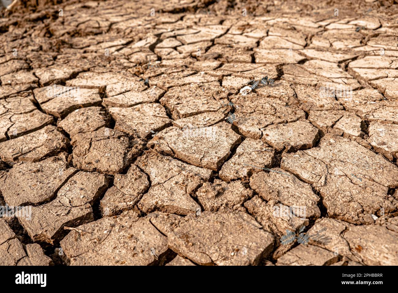 Dry and cracked land, dry due to lack of rain Stock Photo - Alamy