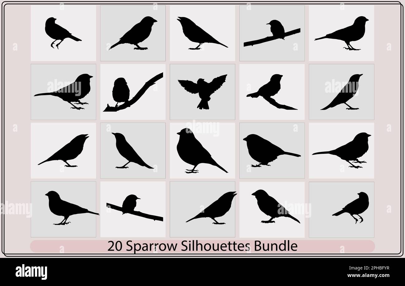 Vector Collection Of Bird Silhouettes Sparrow Vector Silhouette Vector