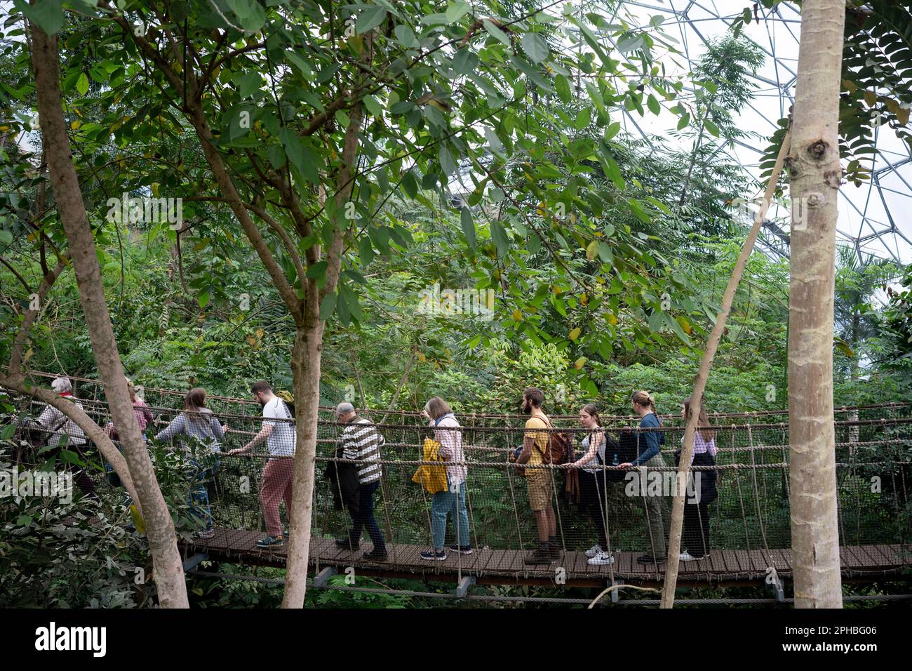Visitors cross a cable bridge above the Rainforest Biome at the Eden Project, on 22nd March 2023, in St Austell, Cornwall, England. The Rainforest Biome is an indoor rainforest habitat recreation near St Austell in Cornwall. Visitors trek through humid,tropical islands to SE Asia, and West Africa to South America in temperatures raging from 18-35C, surrounded by over 1,000 varieties of tropical plants and vegetation. Stock Photo