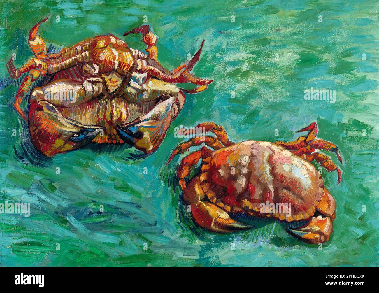 Two Crabs by Van Gogh 1889, the National Gallery in London, UK Stock Photo  - Alamy