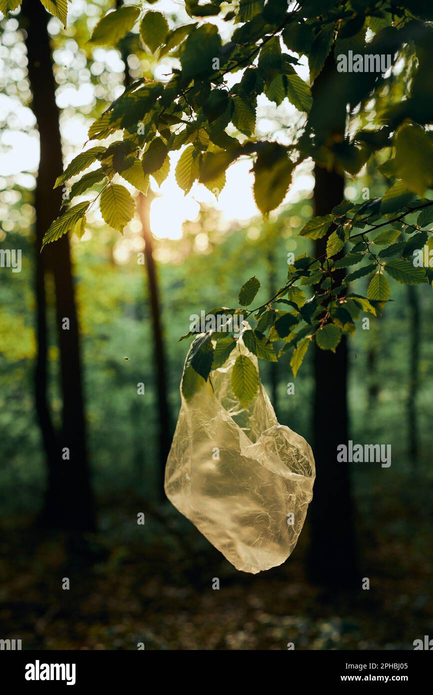 Plastic Garbage Bags Hanging on the Tree, Plastic Waste Pollution Stock  Photo - Image of polyethylene, bags: 198616200