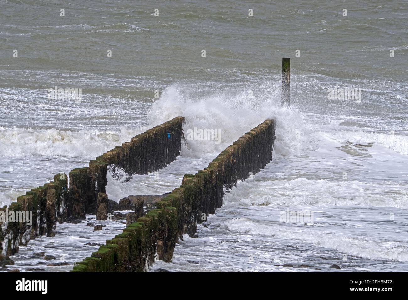 Wave crashing into wooden groyne / breakwater to avoid beach erosion during winter storm along North Sea coast in Zeeland, Netherlands Stock Photo