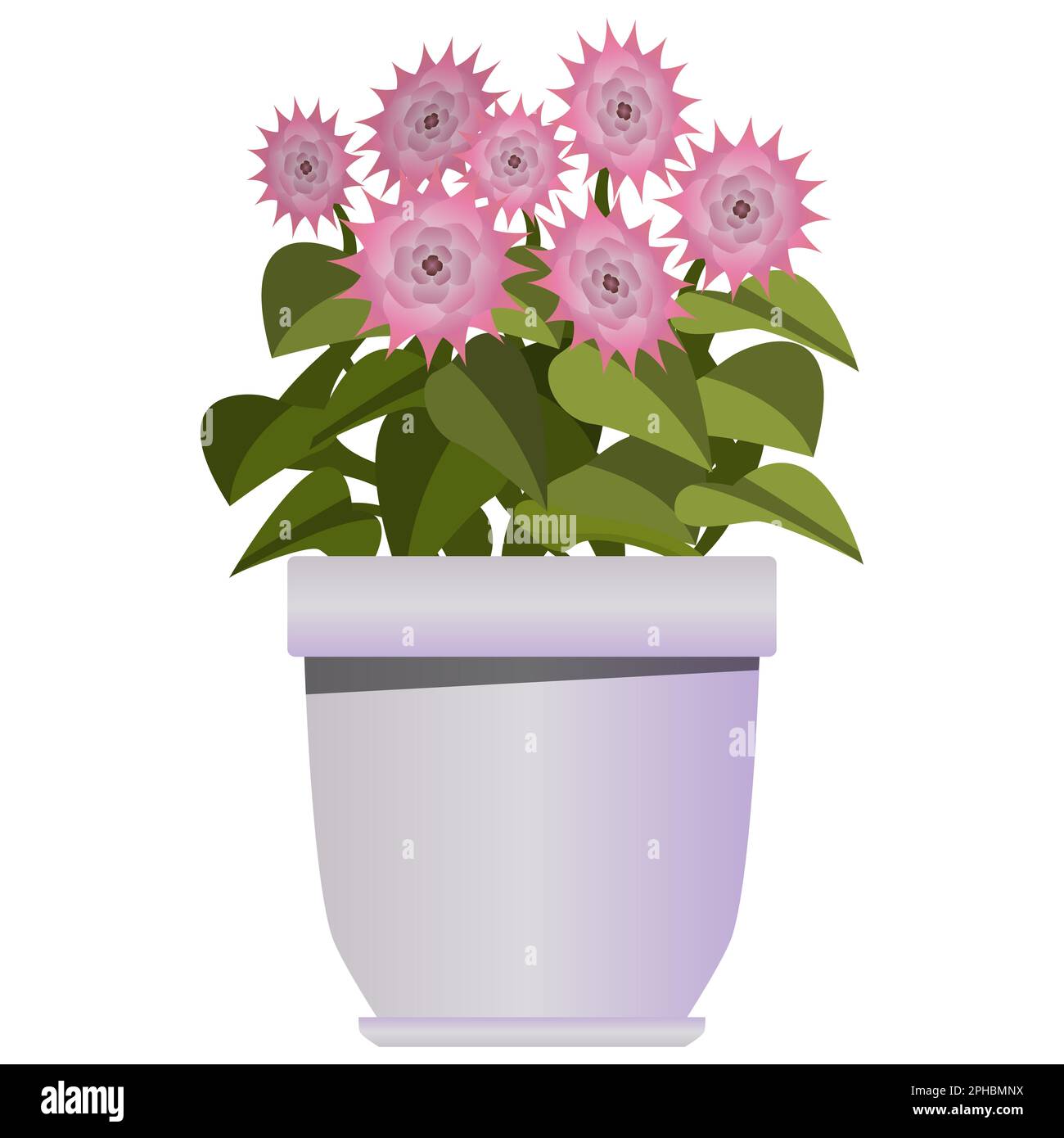 Realistic Tiger Lily flowers in a tiny wooden pot, watercolor clipart,  isolated white background, high resolution, very detailed, 32k - Clip Art  Library