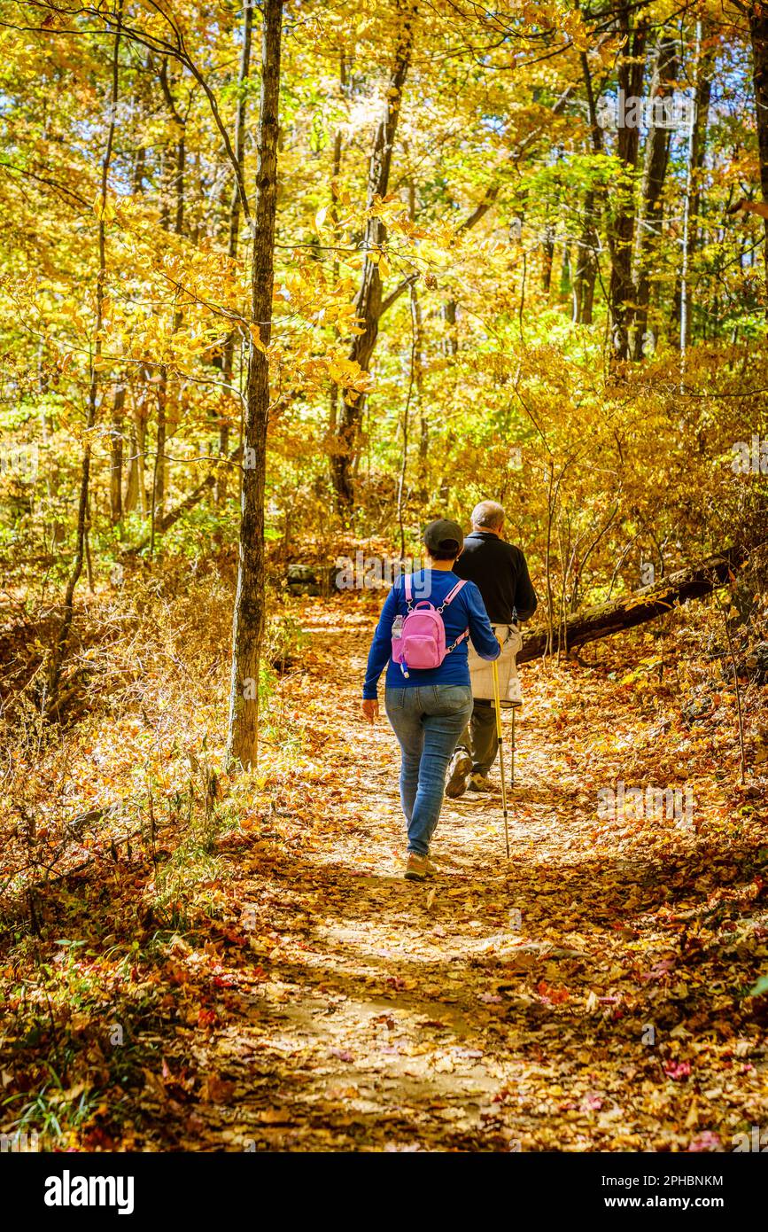 Senior couple is hiking in the woods in North Carolina in fall Stock Photo