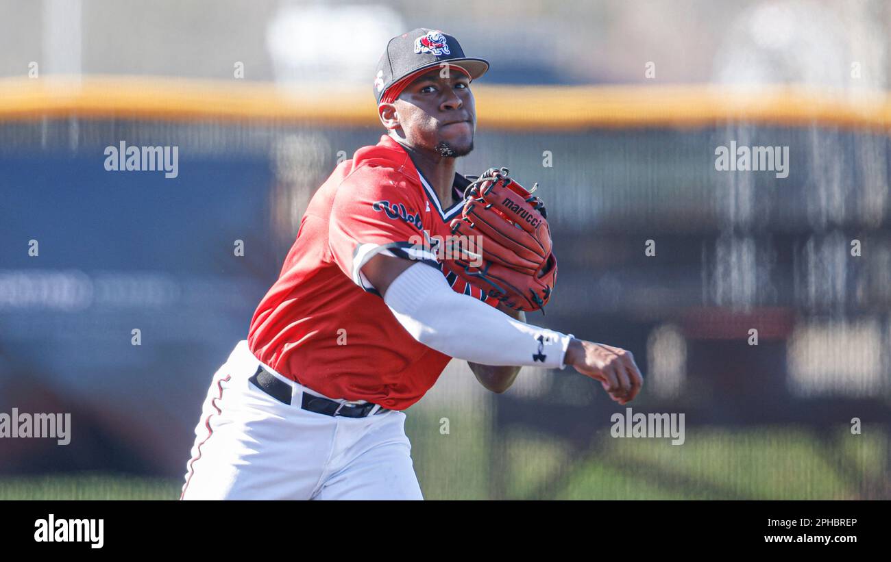 Gardner webb baseball online