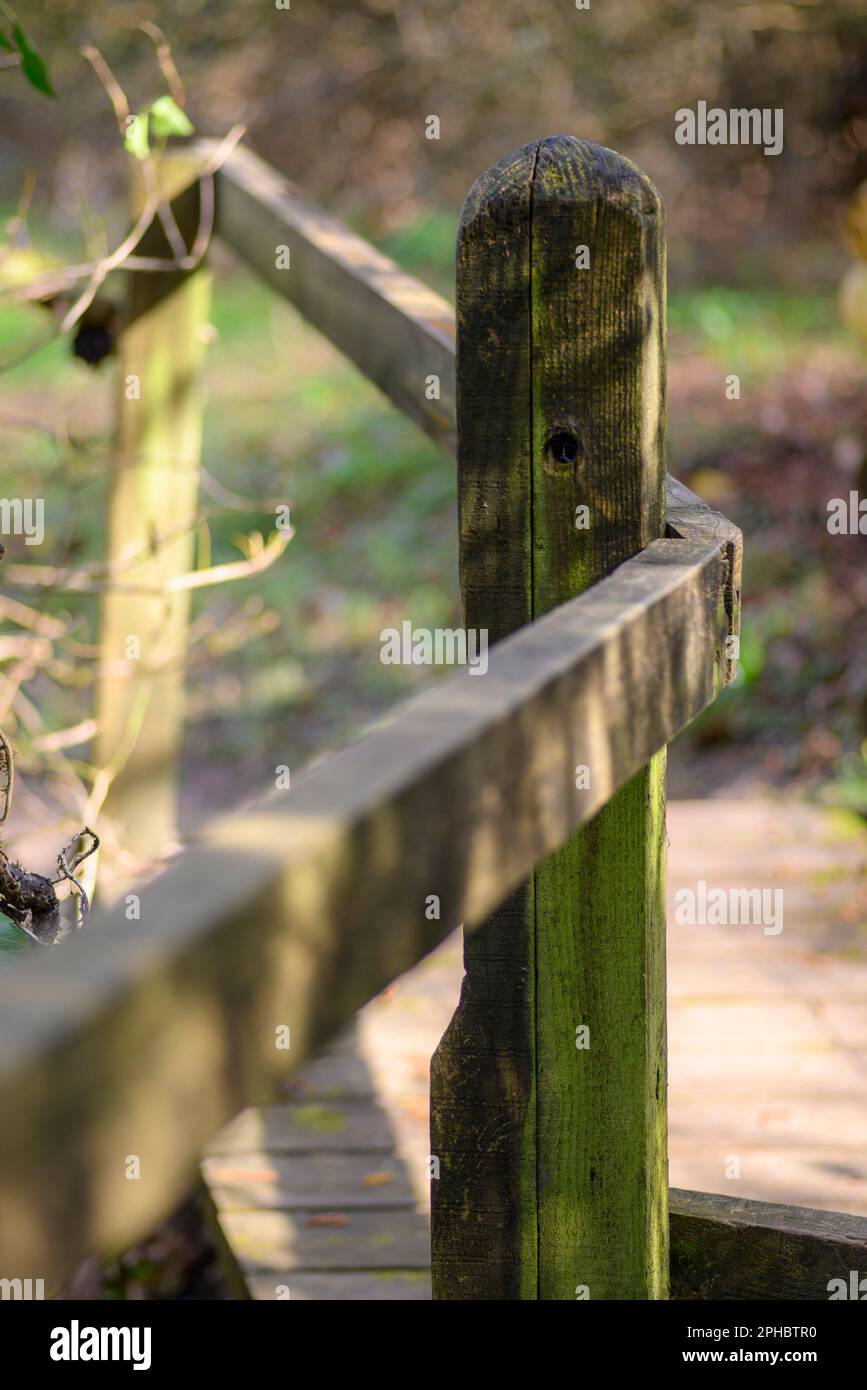 Wooden post and wooden fence rail in the countryside, UK Stock Photo