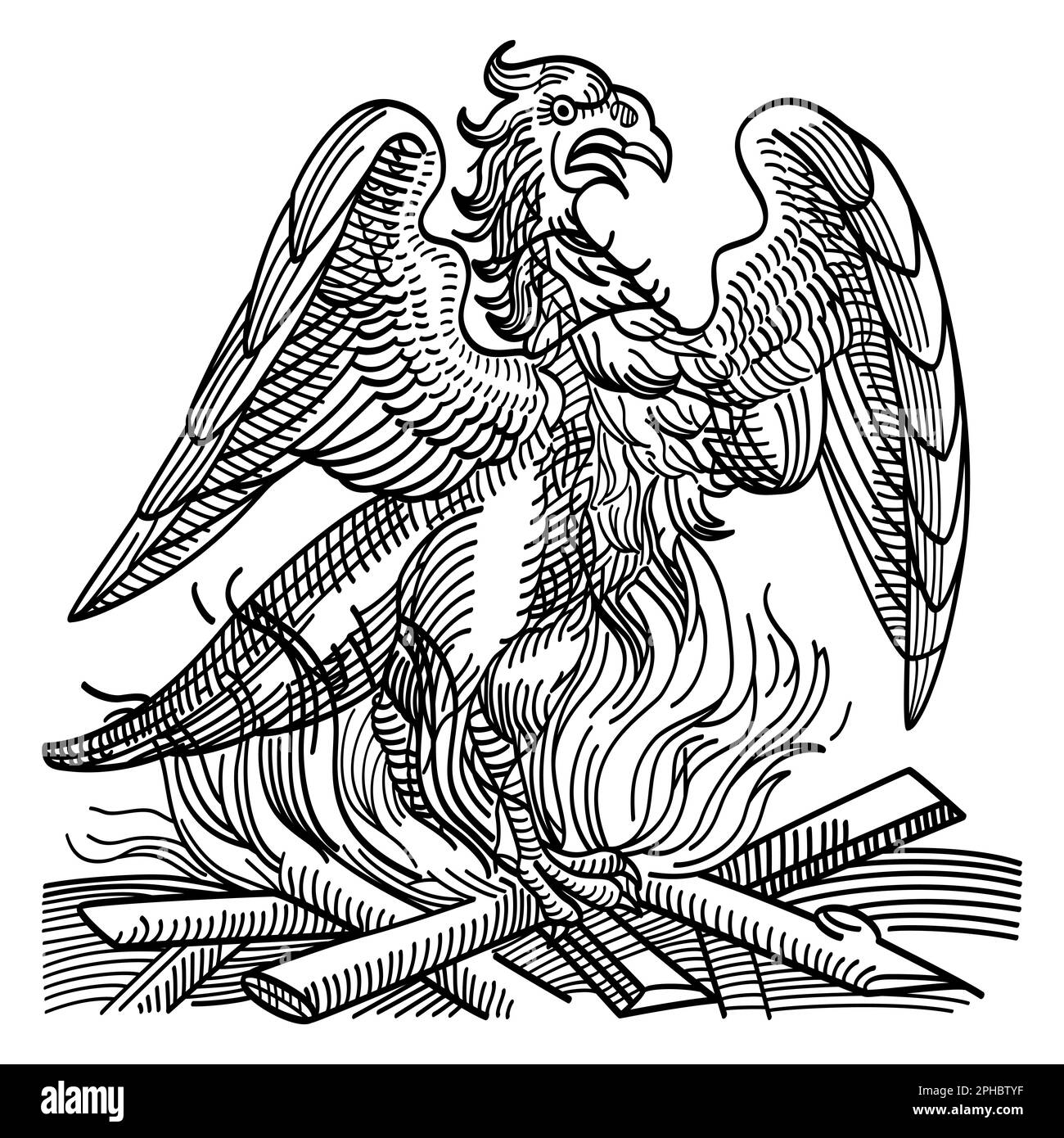 A phoenix obtains new life by rising from the ashes of its predecessor. Immortal bird and creature of the ancient Greek mythology. Stock Photo