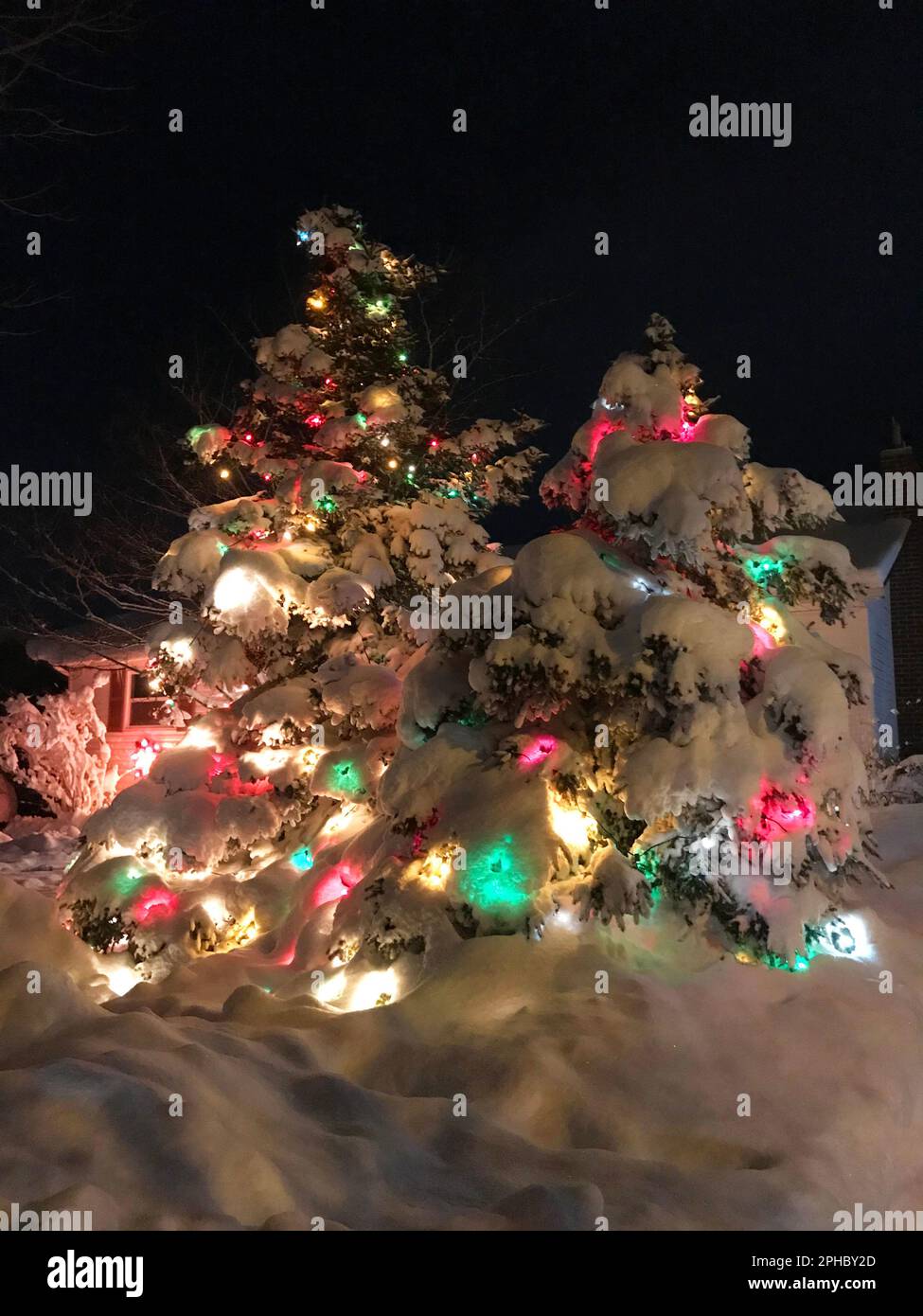 Two evergreen trees outdoors, decorated with Christmas lights and covered in a heavy layer of new fallen snow. Stock Photo