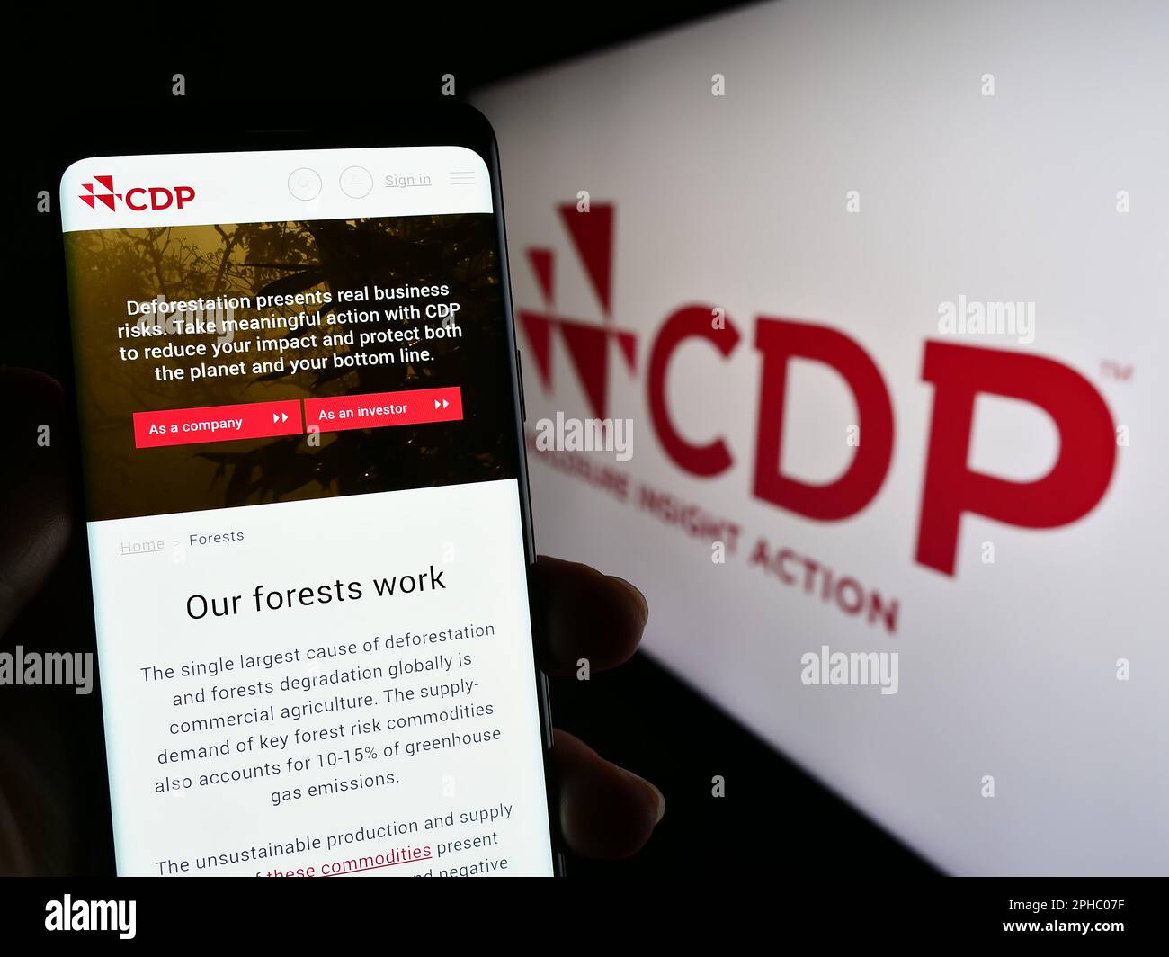 Person holding smartphone with web page of organization Carbon ...