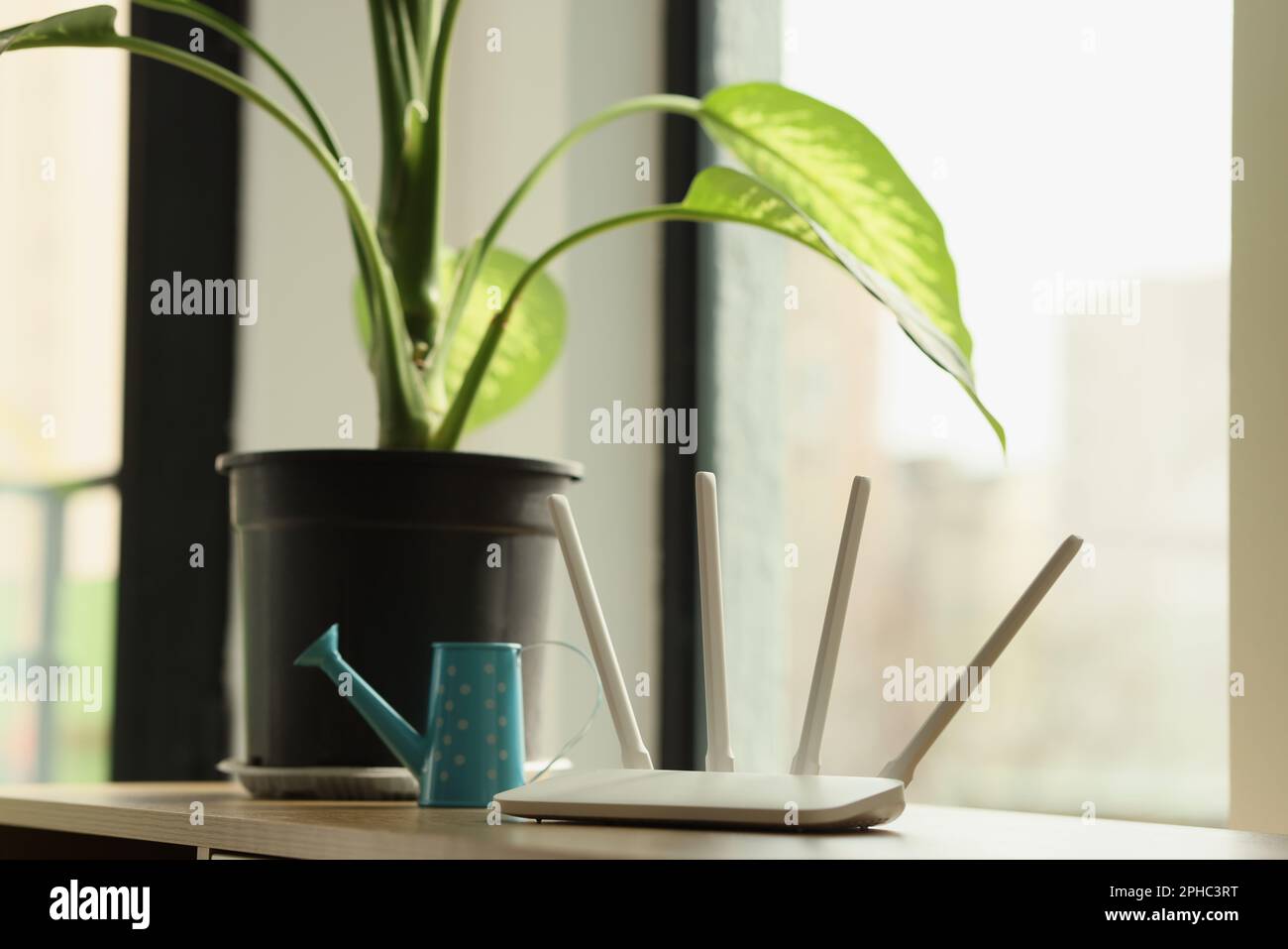 Wi-Fi router stands on table near pot-plant with big leaves Stock Photo