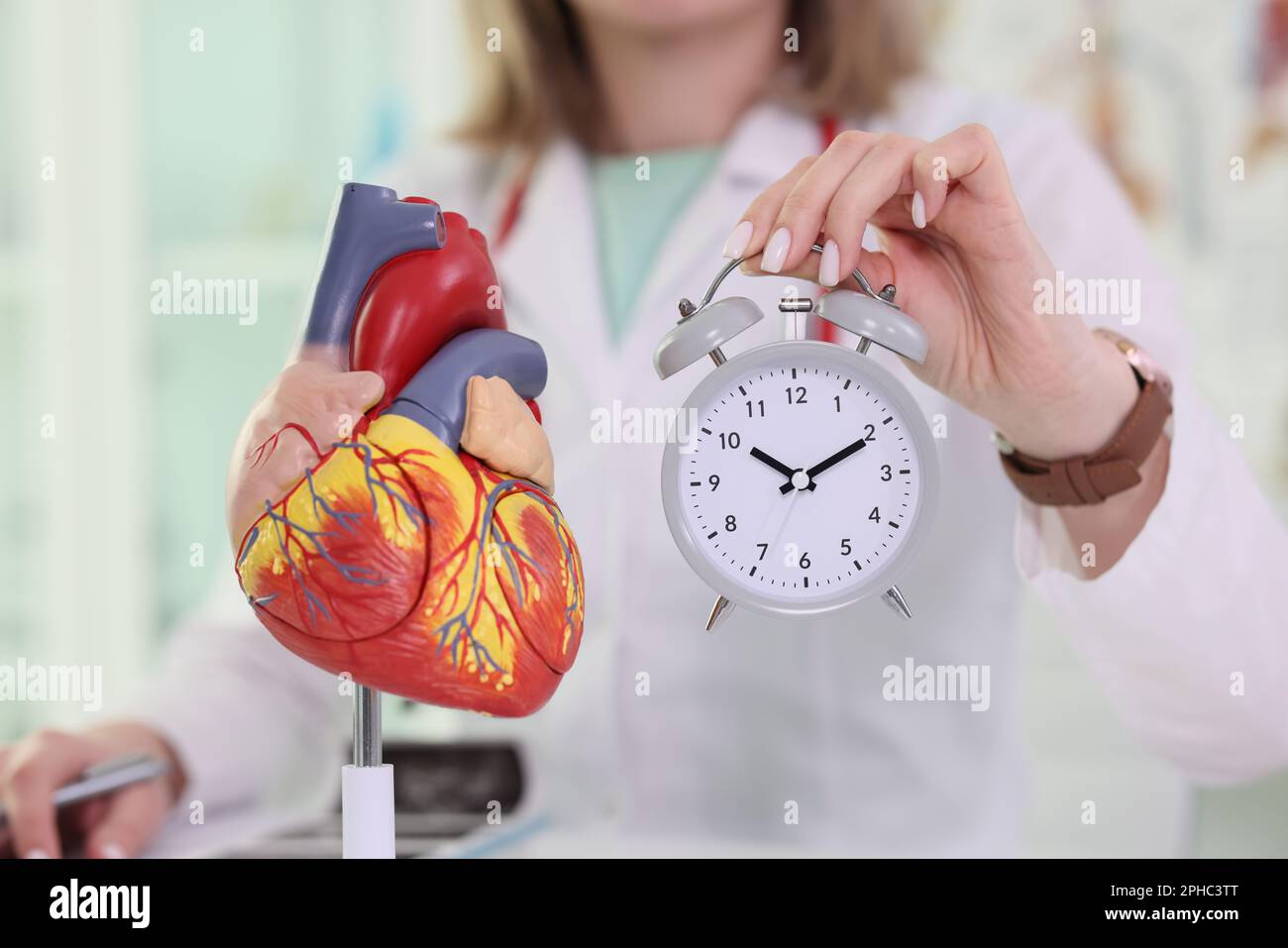 Doctor holds alarm clock near scientific heart model Stock Photo