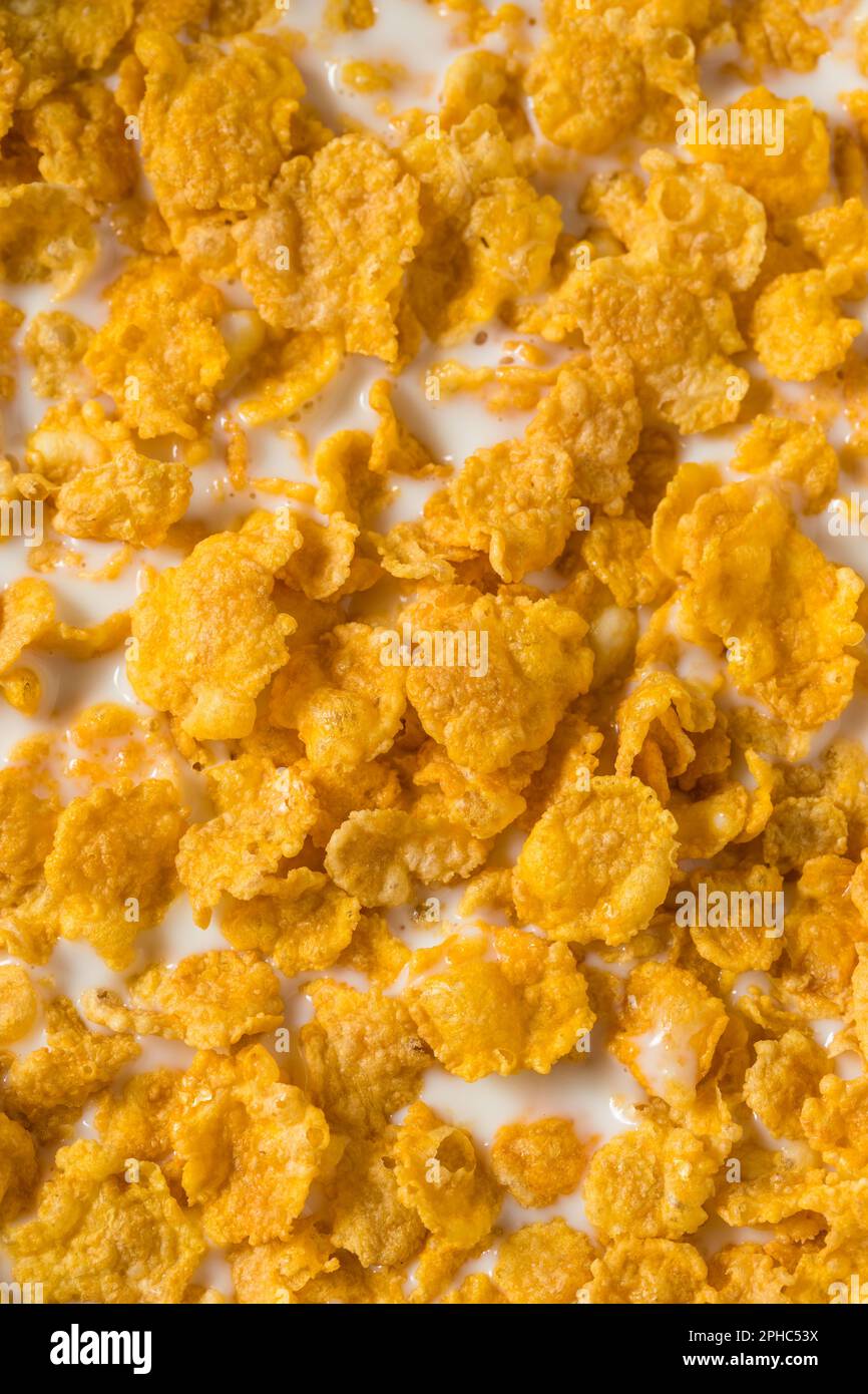 Homemade Healthy Corn Flakes Cereal with Whole Milk Stock Photo Alamy