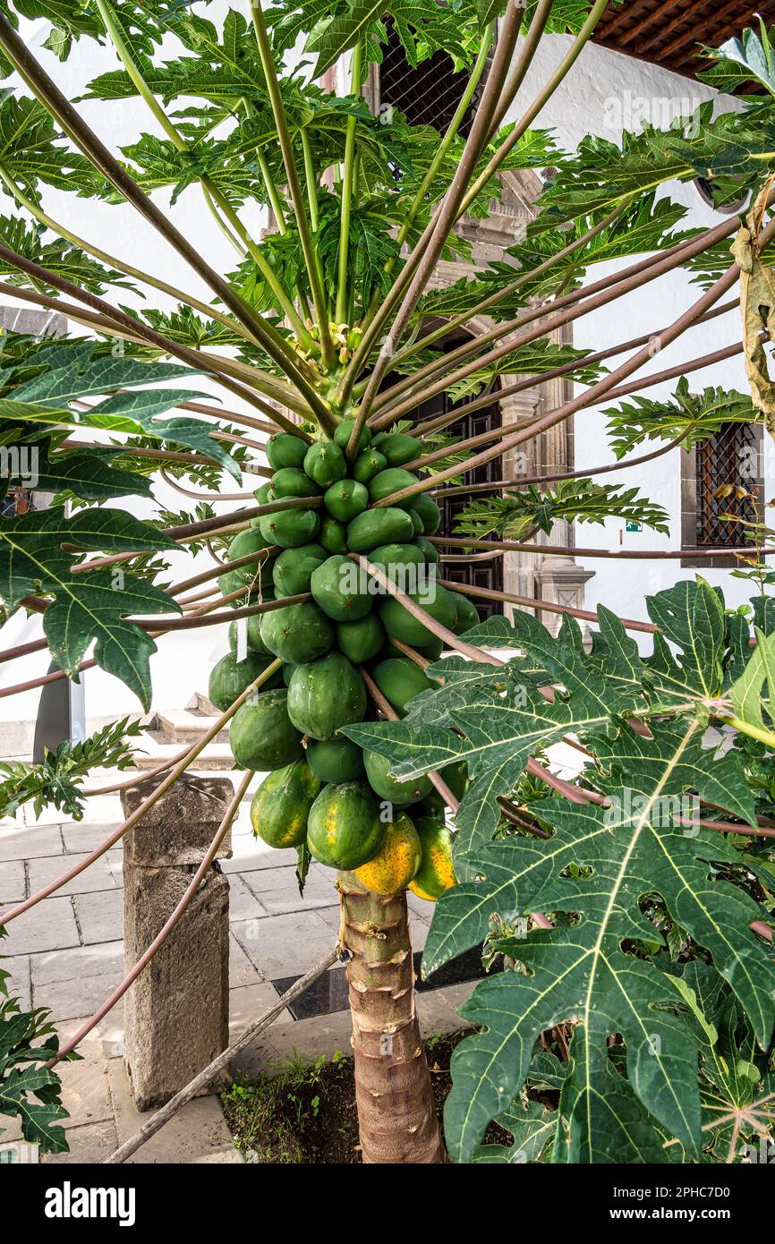 Museo Diocesano de Arte Sacro, The Diocesan Museum of Sacred Art of Las