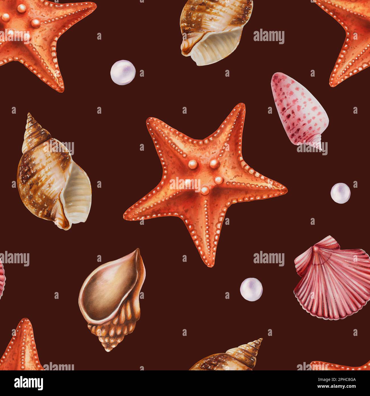 Watercolor seamless pattern with sea star and shells. Hand painting ...