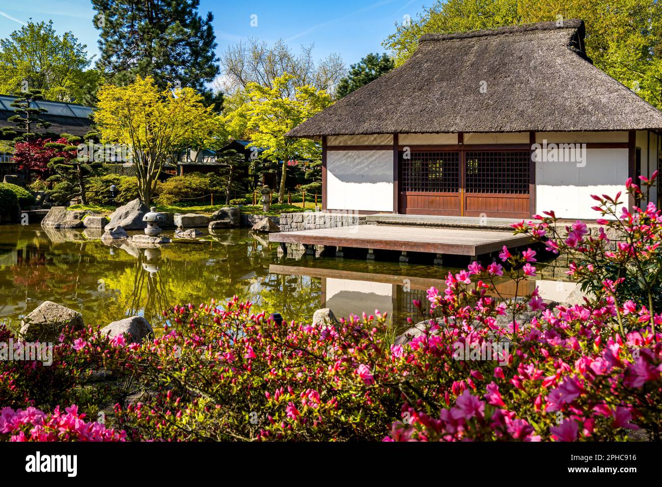 Japanese Tea House with pink flowers in the foreground at a pond in Planten un Blomen public park in Hamburg, a tranquil retreat in a beautiful garden. Stock Photo