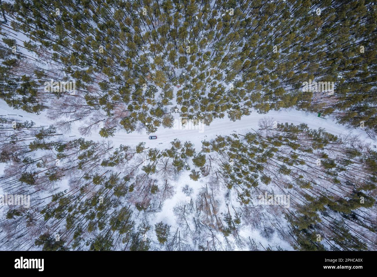 Aerial flight over autumn coniferous hi-res stock photography and ...