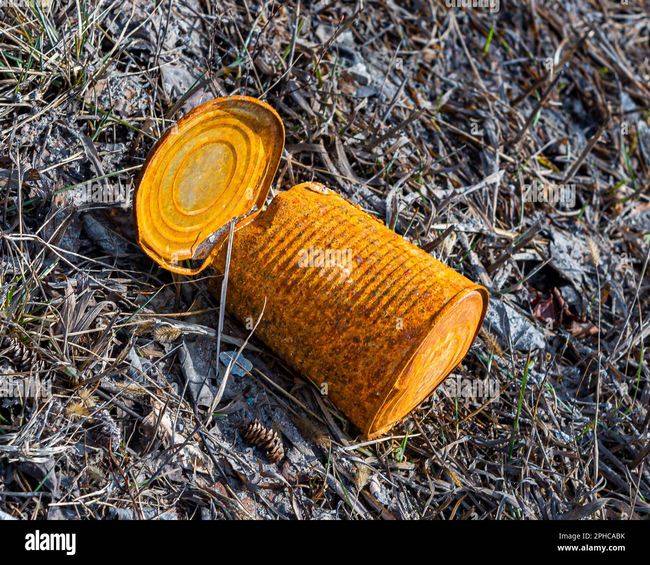 Dirty environment. A metal tin can thrown on the grass pollutes and litters nature and the natural environment. Too bad for nature. Stock Photo