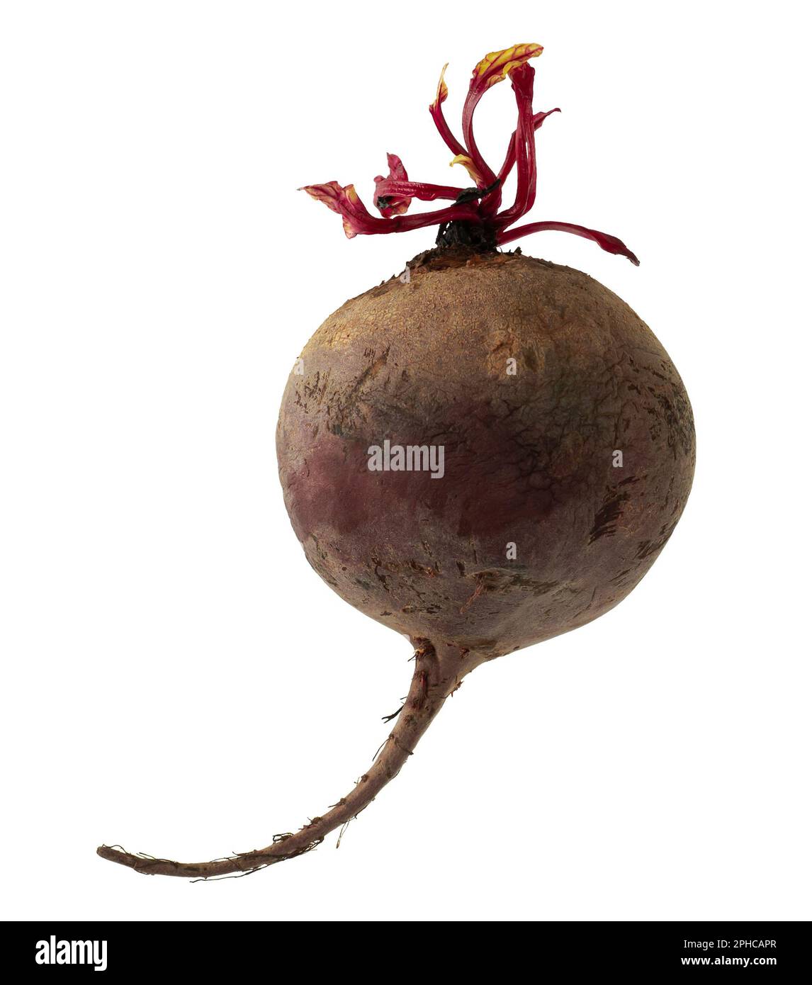 table ripe beets on a white background in isolation Stock Photo