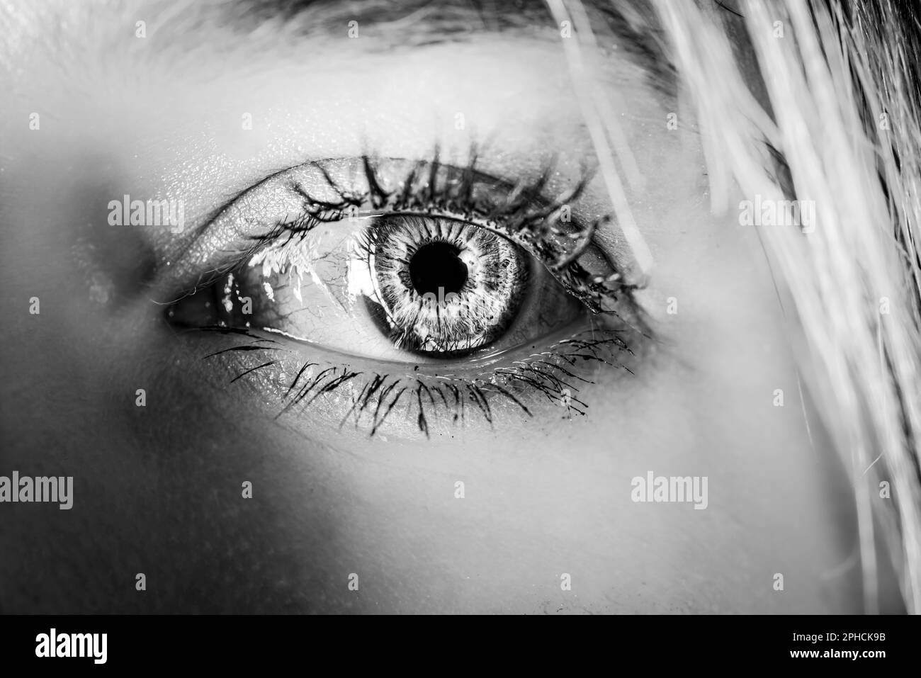 black and white iris photograph of a young woman's eye Stock Photo Alamy