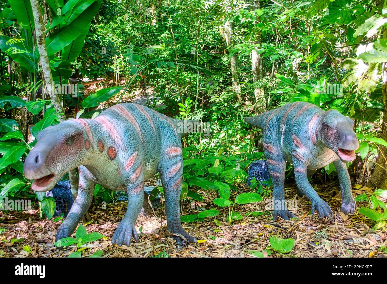 Terra dos Dinos, Miguel Pereira city, Rio de Janeiro, Brazil Stock ...