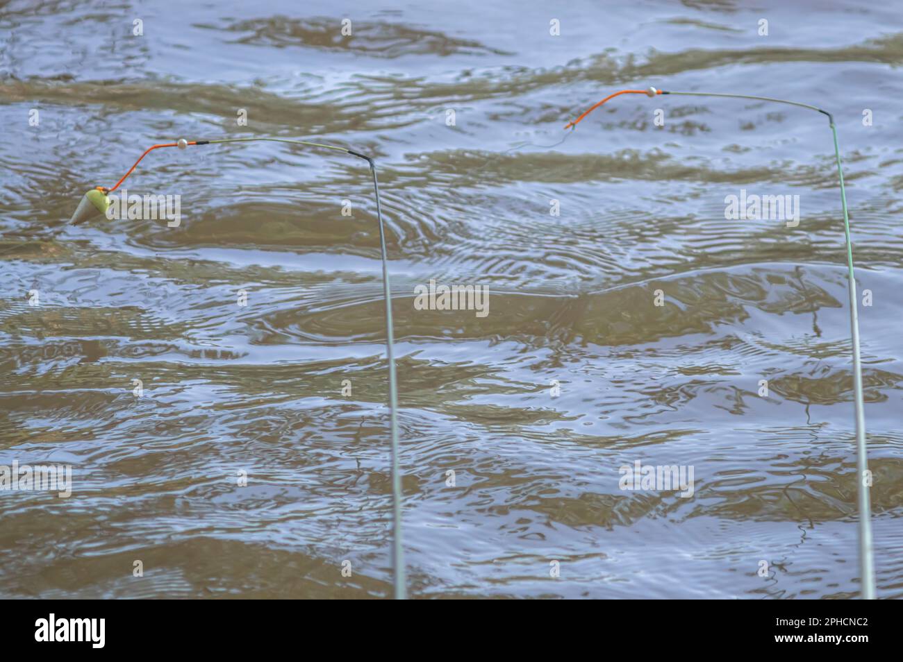 Concept of fishing with fishing buoy in the water with line, natural