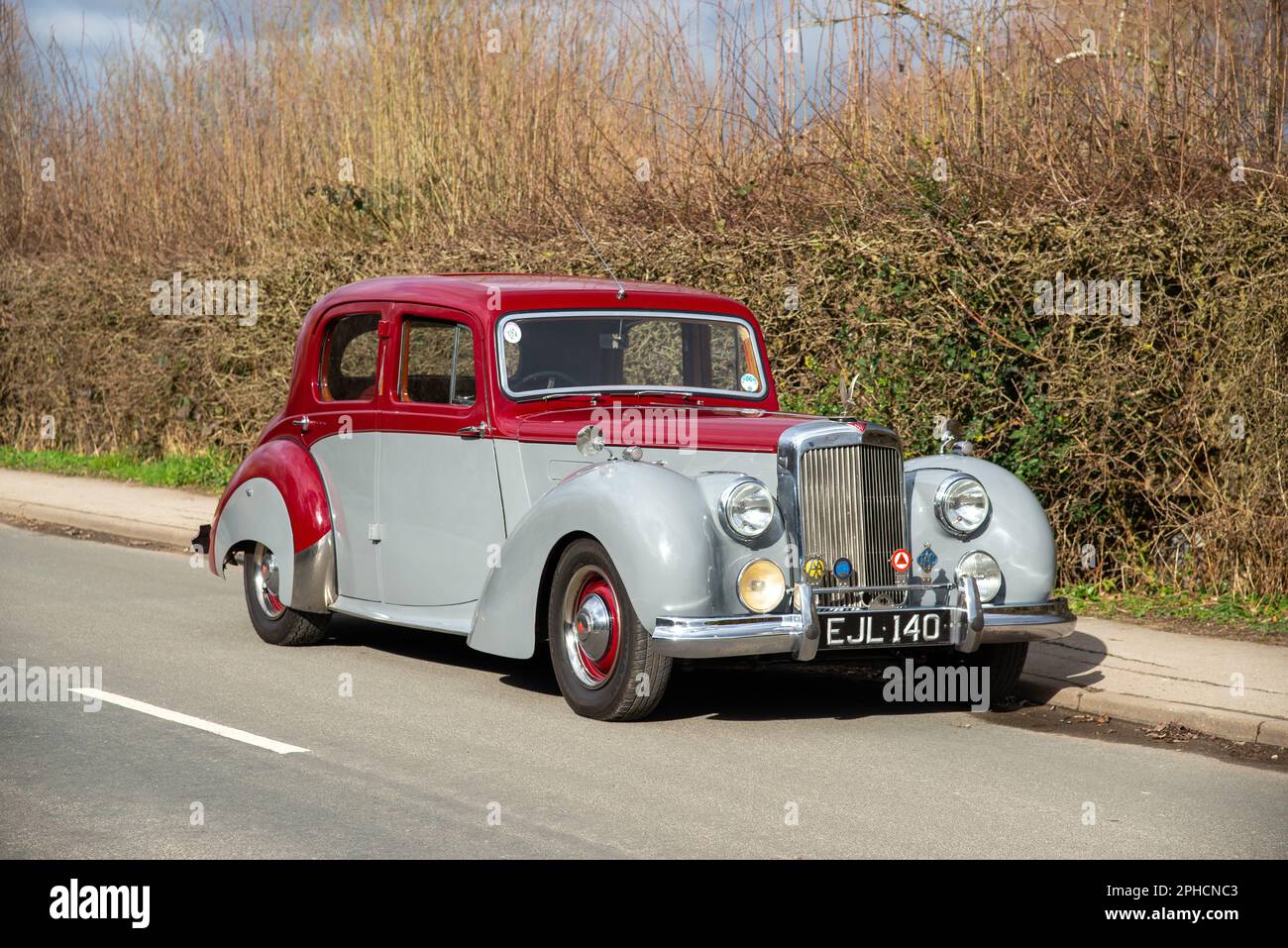 1952 Alvis TA21 saloon parked on a country road in front of a tall hedge on a sunny Winter day Stock Photo
