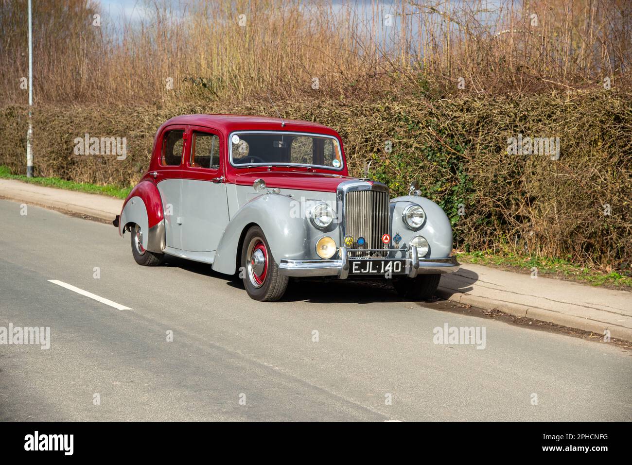 1952 Alvis TA21 saloon parked on a country road in front of a tall hedge on a sunny Winter day Stock Photo