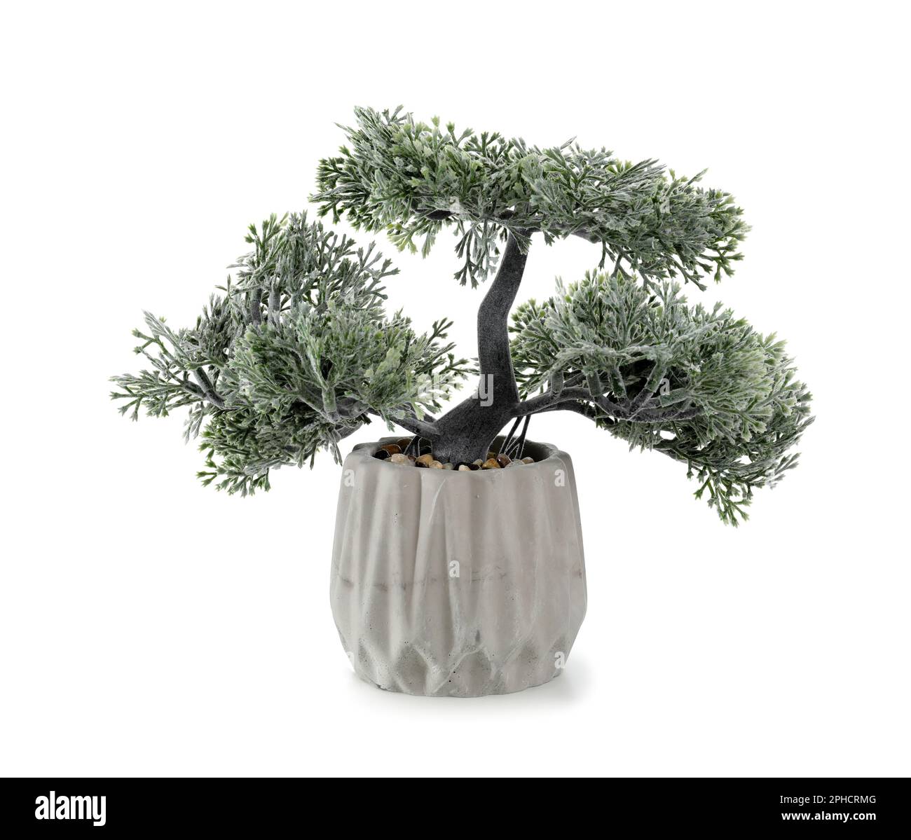 Artificial bonsai tree on white background Stock Photo Alamy